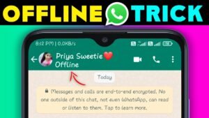 Offline Chat for WhatsApp, No Last Seen, Blue Tick!