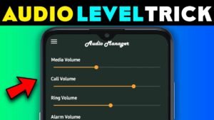 Audio Level Manager Vault [Hide All]