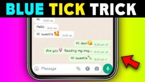 No Blue Tick No Last Read