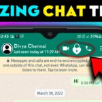 Use Of Secure Chat Locker for WhatsApp