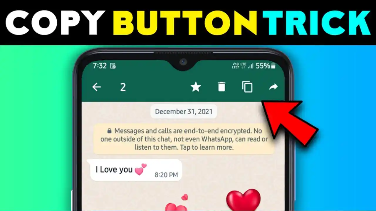 Copy Button With Chat Bin