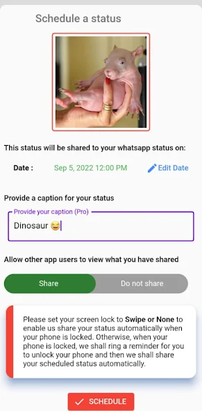 Status Post Scheduler for WhatsApp app TN Shorts