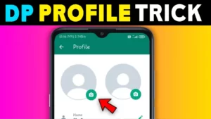 What Is Make Full Size DP Profile