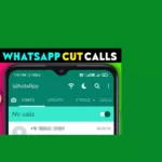 Call Blocker for WhatsApp