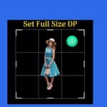 What Is Set Full Size DP [FULL PICTURE]