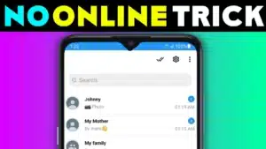 What Is Offline for WhatsApp: No Online