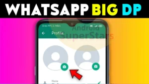 What is Play Store Set the Full DP App: Set Full Profile Pictures or Big DP Without Cropping on Android
